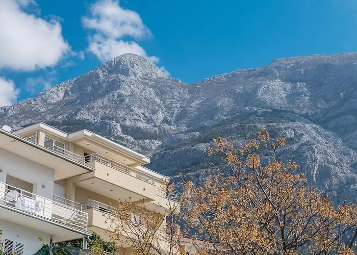 Masson * Makarska